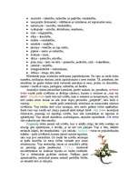 Referāts 'Ziedi, dāvanas, suvenīri lietišķajās attiecībās', 15.