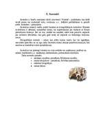 Referāts 'Ziedi, dāvanas, suvenīri lietišķajās attiecībās', 17.