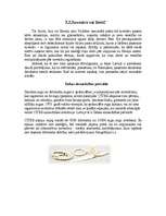 Referāts 'Ziedi, dāvanas, suvenīri lietišķajās attiecībās', 19.