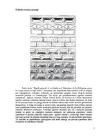 Konspekts 'Bauskas pils sgrafito apmetums', 5.