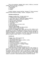 Konspekts 'Mācīšanās stili slimnieka aprūpē', 2.