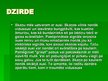Prezentācija 'Dzirde', 3.