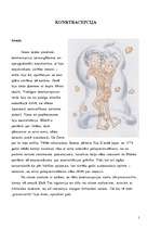 Referāts 'Kontracepcija', 1.