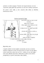 Referāts 'Kontracepcija', 3.