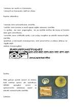 Referāts 'Kontracepcija', 17.