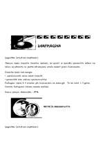 Referāts 'Kontracepcija', 20.