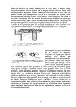Referāts 'Koka būvelementu aizsardzība ēku rekonstrukcijā', 10.