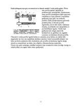 Referāts 'Koka būvelementu aizsardzība ēku rekonstrukcijā', 11.