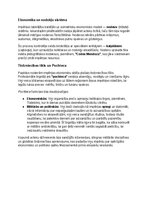 Konspekts 'Acteki: vēsture, kultūra, mitoloģija, sabiedrība un kultūras mantojums', 13.