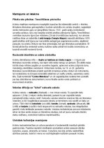 Konspekts 'Acteki: vēsture, kultūra, mitoloģija, sabiedrība un kultūras mantojums', 16.