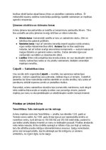 Konspekts 'Acteki: vēsture, kultūra, mitoloģija, sabiedrība un kultūras mantojums', 19.