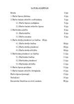 Referāts 'Darba līgums', 3.