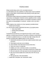 Referāts 'Braukšanas kultūra', 2.