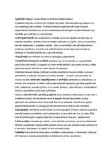 Referāts 'Braukšanas kultūra', 4.