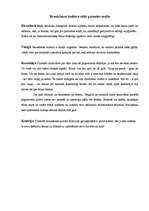 Referāts 'Braukšanas kultūra', 6.