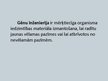 Prezentācija 'Gēnu inženierija', 3.