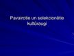 Prezentācija 'Viļānu selekcijas un izmēģinājumu stacija', 4.