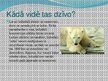Prezentācija 'Leduslācis jeb polārlācis', 4.