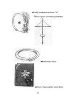 Referāts 'Naudas senākās formas', 22.