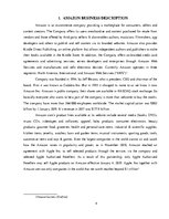 Referāts 'Amazon and eBay Marketing Compare', 4.