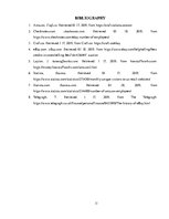 Referāts 'Amazon and eBay Marketing Compare', 11.