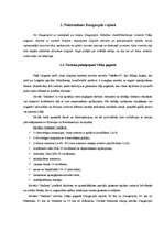 Referāts 'Lauku tūrisma produkti Daugavpils rajonā, to mārketings', 8.