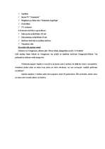 Referāts 'Lauku tūrisma produkti Daugavpils rajonā, to mārketings', 19.