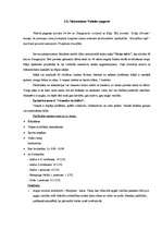 Referāts 'Lauku tūrisma produkti Daugavpils rajonā, to mārketings', 21.