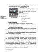 Referāts 'Lauku tūrisma produkti Daugavpils rajonā, to mārketings', 24.