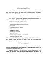 Referāts 'Lauku tūrisma produkti Daugavpils rajonā, to mārketings', 26.