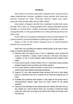 Referāts 'Lauku tūrisma produkti Daugavpils rajonā, to mārketings', 31.