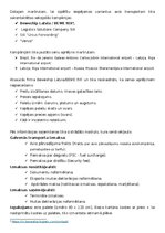 Konspekts 'Ekspedīcija un starptautisko kravu pārvadājumu organizēšana', 7.