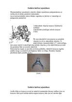 Konspekts 'VAZ -21213 sadales kārbas remonts', 4.