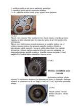 Konspekts 'VAZ -21213 sadales kārbas remonts', 6.