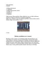 Konspekts 'VAZ -21213 sadales kārbas remonts', 8.