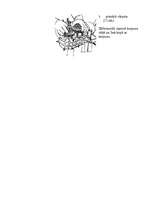 Konspekts 'VAZ -21213 sadales kārbas remonts', 10.