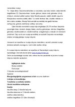 Referāts 'Muzeju izglītojošais darbs', 6.