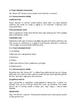 Biznesa plāns 'Kafijas bārs', 6.