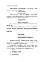 Referāts 'Krājumi, to raksturojums un analīze', 3.