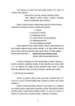 Referāts 'Krājumi, to raksturojums un analīze', 8.