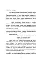 Referāts 'Krājumi, to raksturojums un analīze', 11.