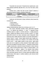 Referāts 'Krājumi, to raksturojums un analīze', 24.