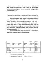 Referāts 'Krājumi, to raksturojums un analīze', 29.