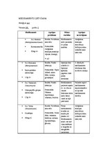 Prakses atskaite 'Aprūpes plāns hematoloģijā', 13.