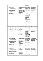 Prakses atskaite 'Aprūpes plāns hematoloģijā', 14.