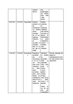Prakses atskaite 'Aprūpes plāns hematoloģijā', 17.