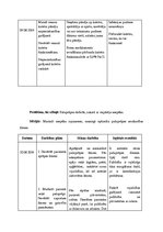 Prakses atskaite 'Aprūpes plāns hematoloģijā', 25.