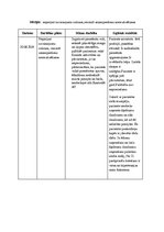 Prakses atskaite 'Aprūpes plāns hematoloģijā', 27.