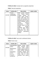 Prakses atskaite 'Aprūpes plāns hematoloģijā', 28.
