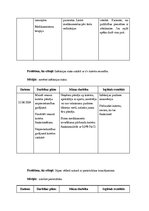 Prakses atskaite 'Aprūpes plāns hematoloģijā', 30.
